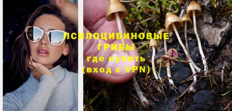 Галлюциногенные грибы Magic Shrooms  Эртиль 